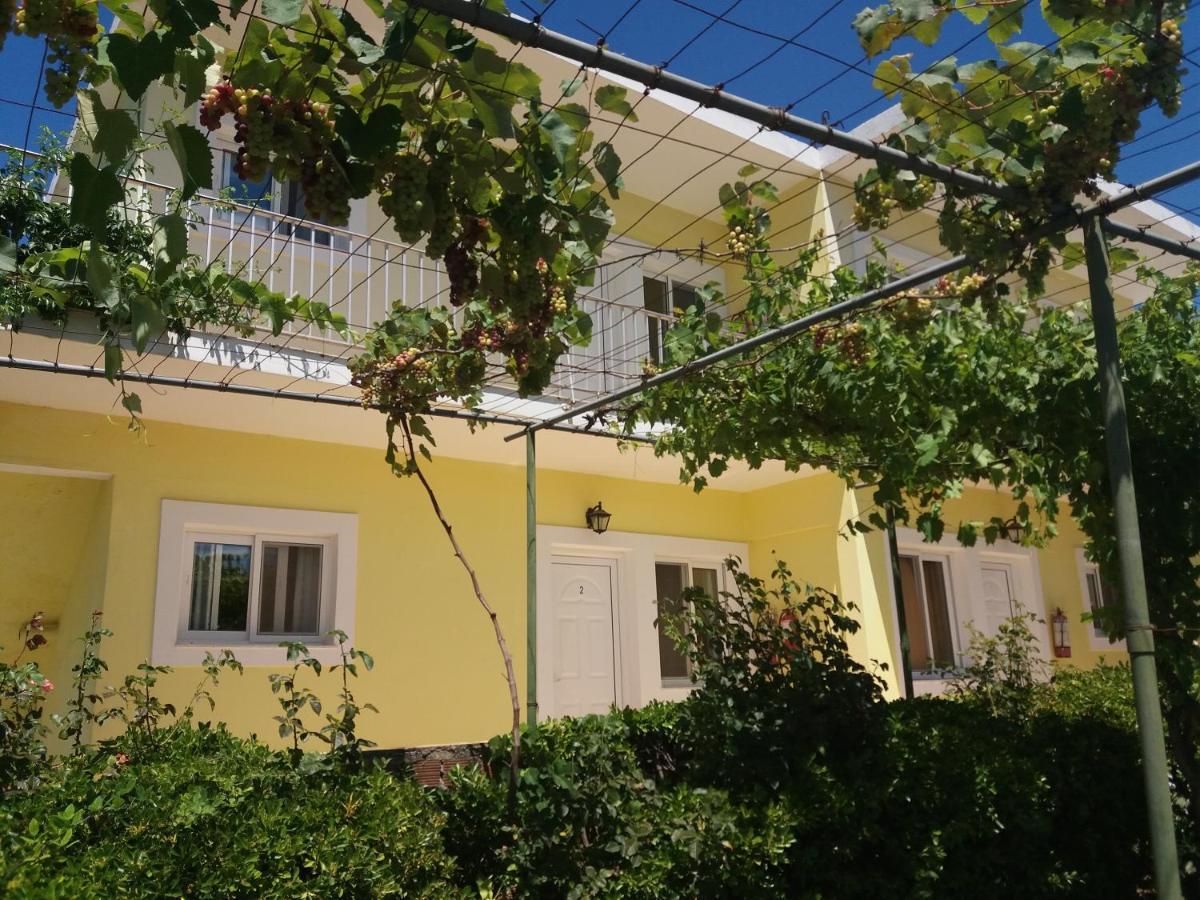 Apartment Amadeus Hawaii & Sidari (Corfu)